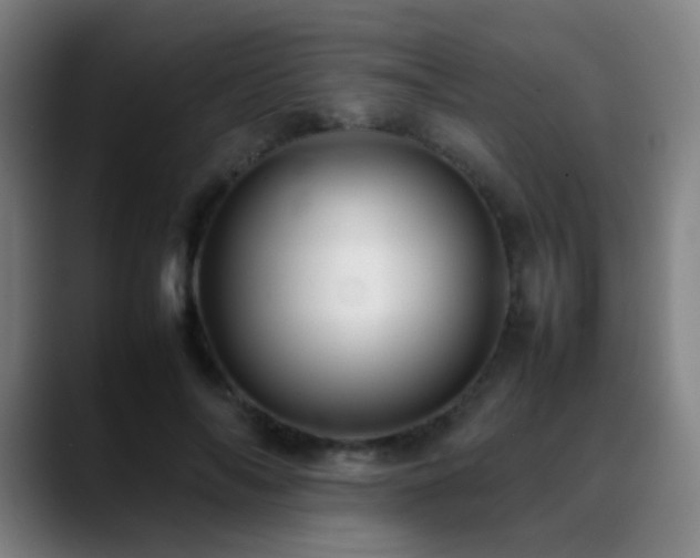 X0000089350694200706151101