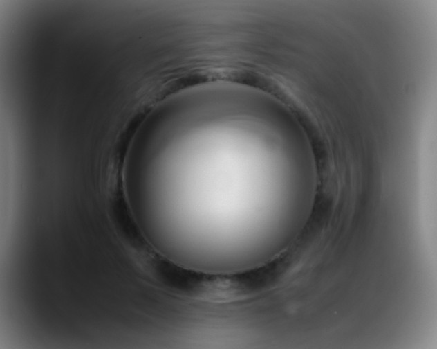 X0000089350695200706151101