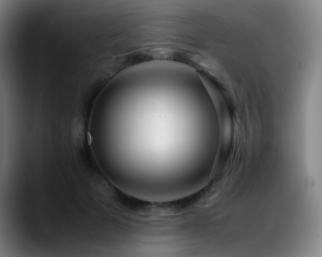 X0000089350697200706151101
