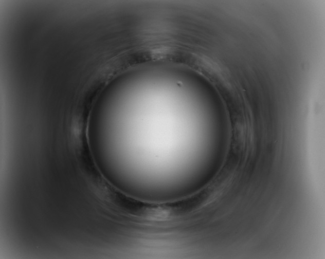 X0000089350698200706151101