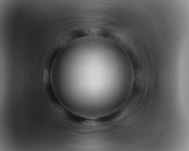 X0000089350699200706151101