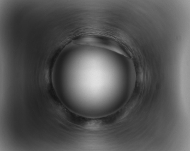 X0000089350700200706151101