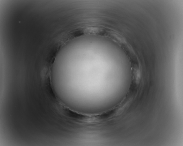 X0000089350701200706151101