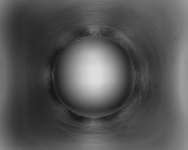 X0000089350702200706151101