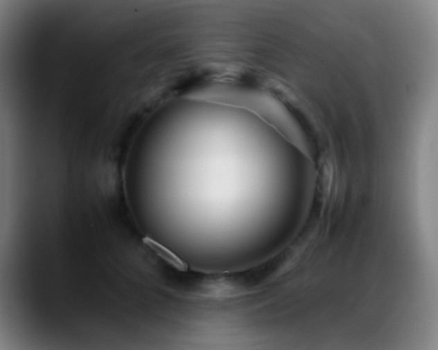 X0000089350704200706151101