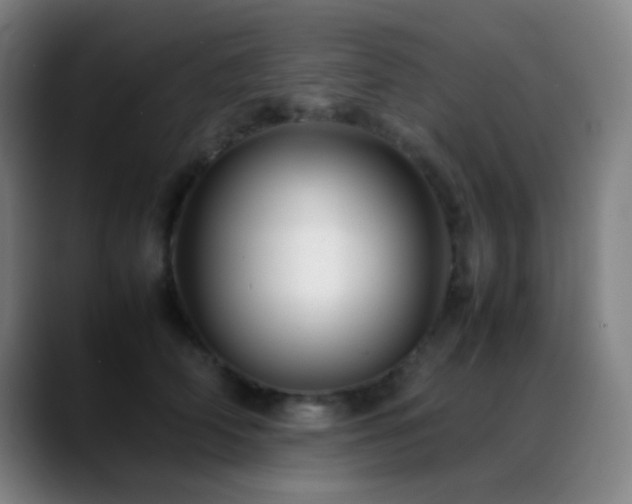 X0000089350706200706151101