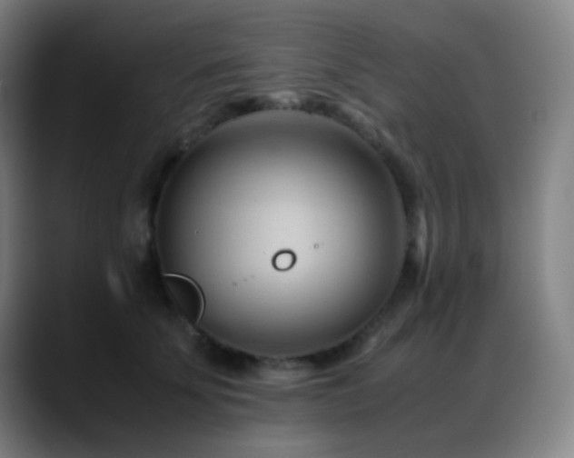 X0000089350707200706151101