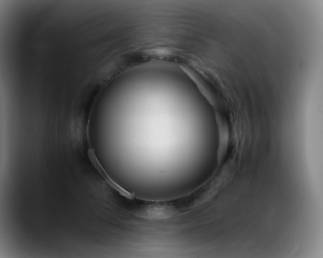 X0000089350708200706151101