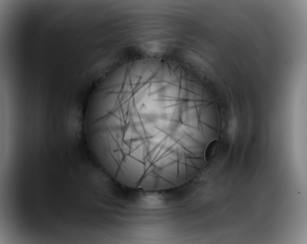 X0000089350710200706151101