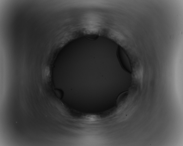 X0000089350711200706151101