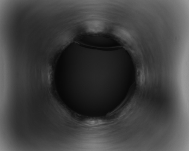 X0000089350712200706151101