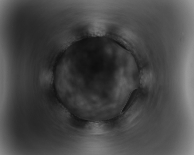 X0000089350713200706151101