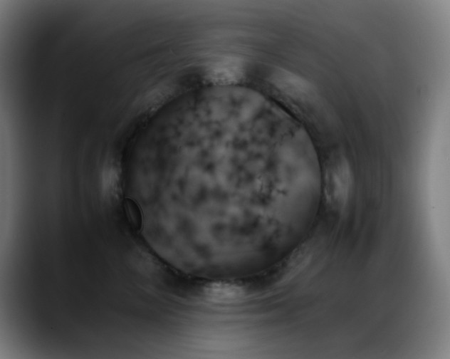 X0000089350714200706151101