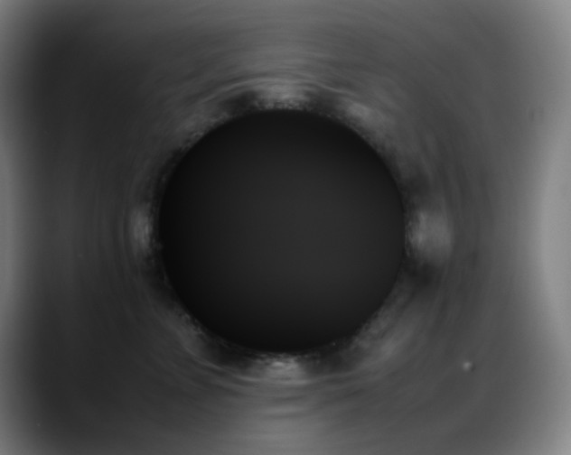 X0000089350715200706151101