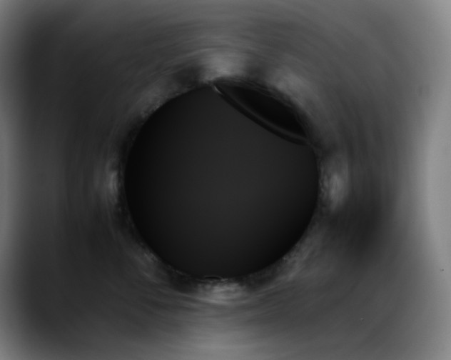 X0000089350716200706151101
