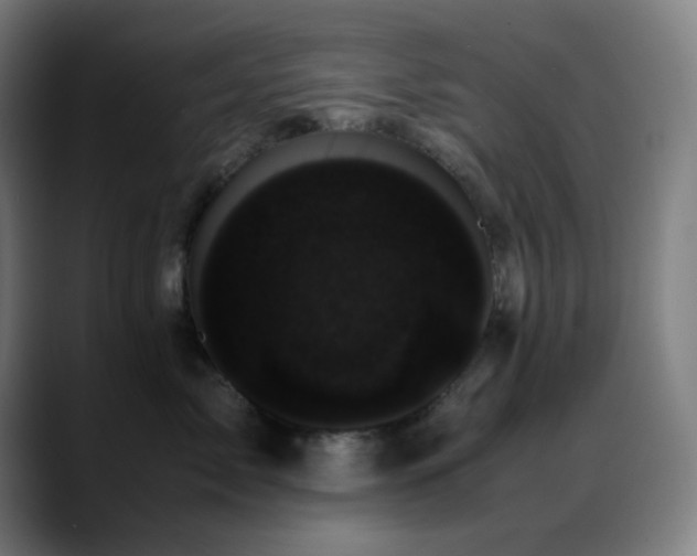 X0000089350717200706151101