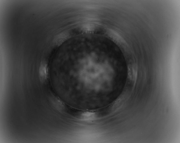X0000089350718200706151101