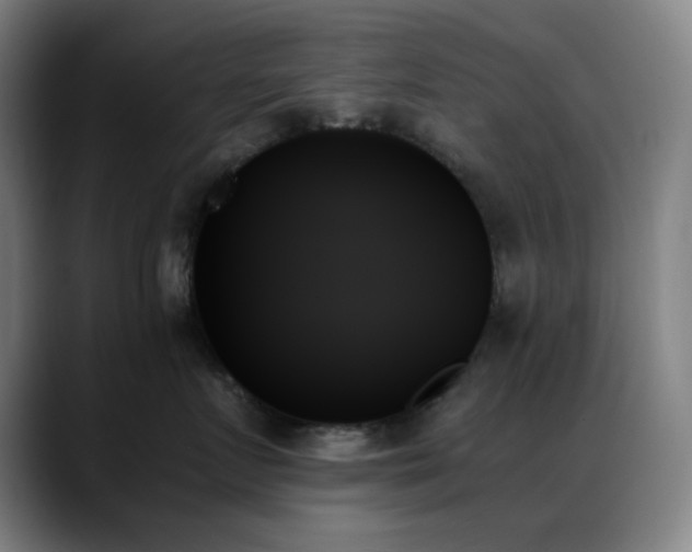 X0000089350719200706151101