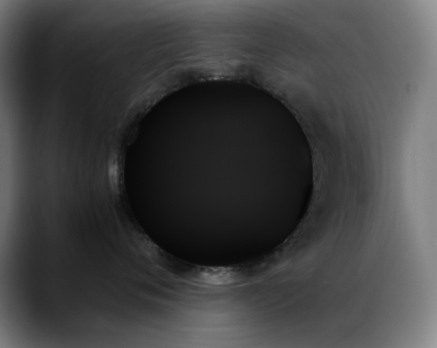 X0000089350720200706151101