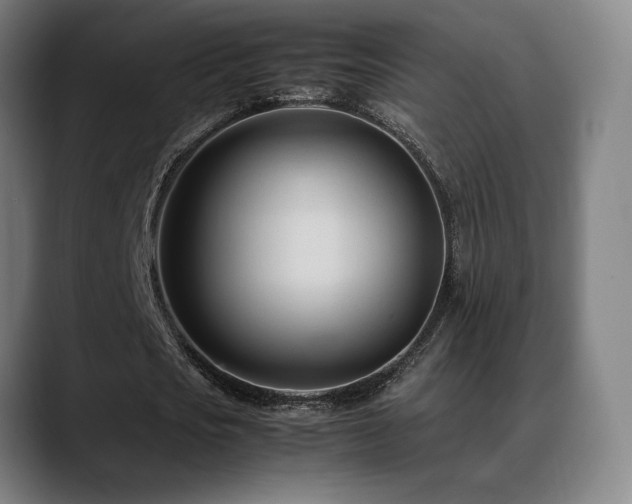 X0000089350721200706151101