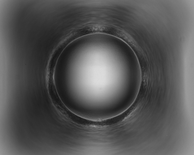 X0000089350722200706151101