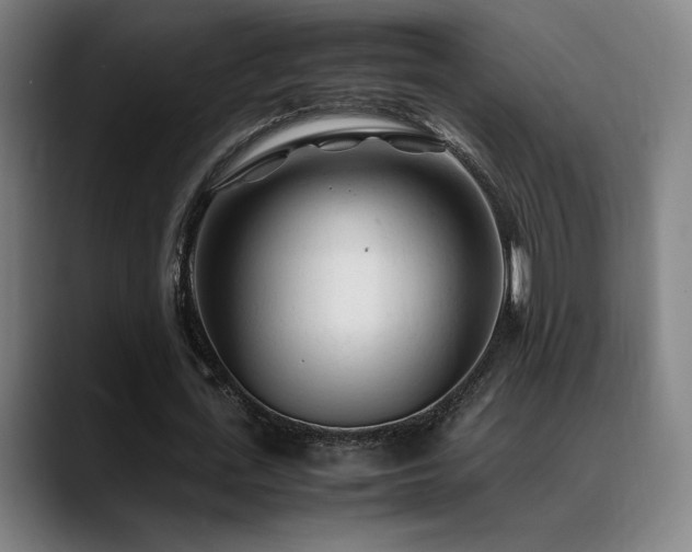 X0000089350723200706151101