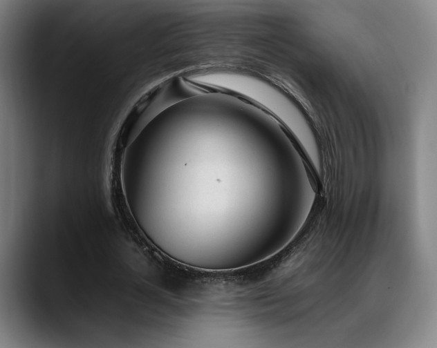 X0000089350724200706151101