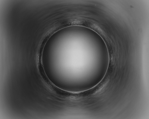 X0000089350725200706151101