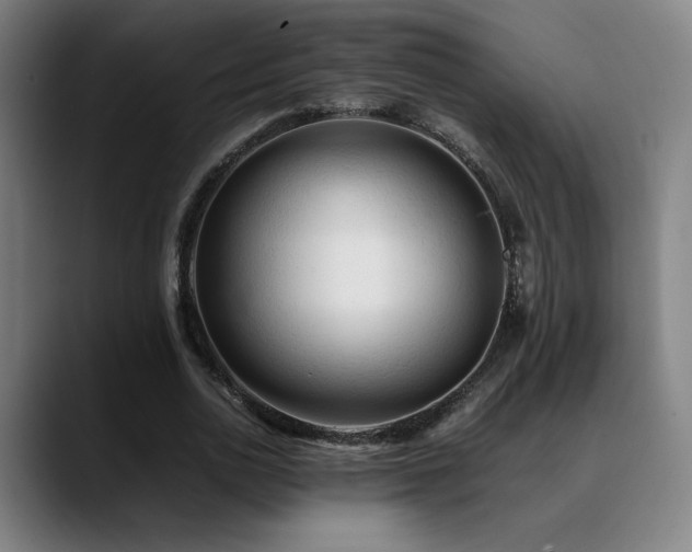 X0000089350726200706151101