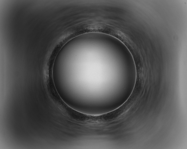 X0000089350727200706151101