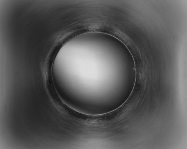 X0000089350728200706151101