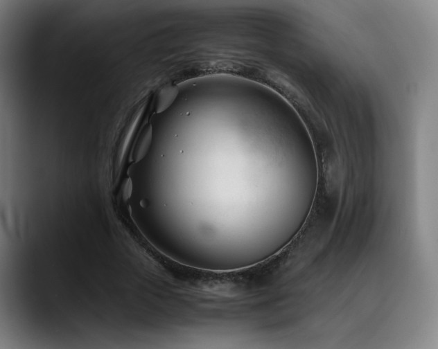 X0000089350729200706151101