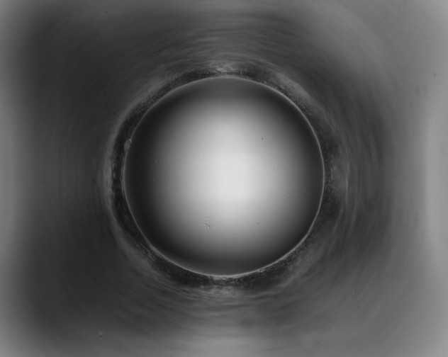 X0000089350730200706151101