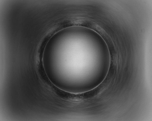X0000089350731200706151101