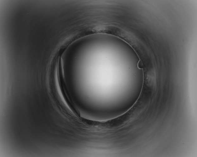 X0000089350732200706151101