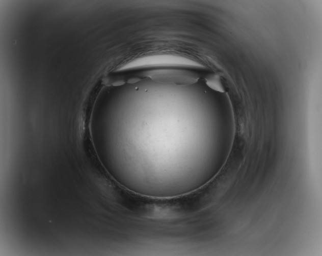 X0000089350733200706151101