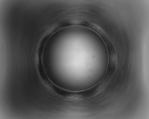 X0000089350734200706151101