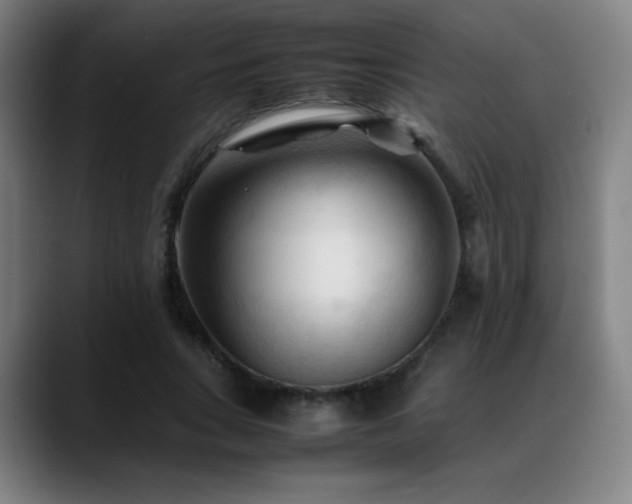 X0000089350735200706151101