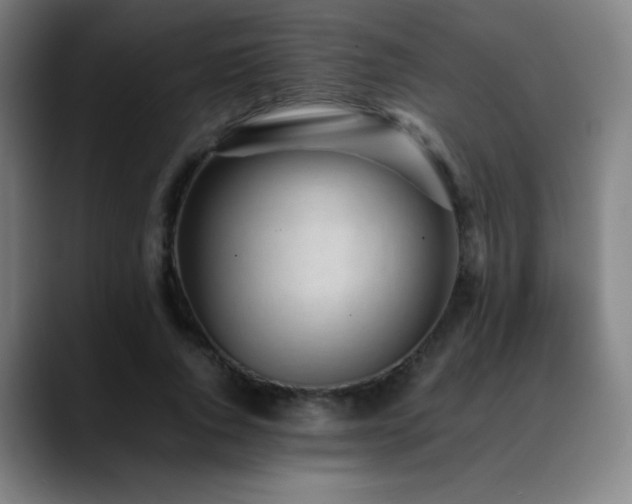 X0000089350736200706151101