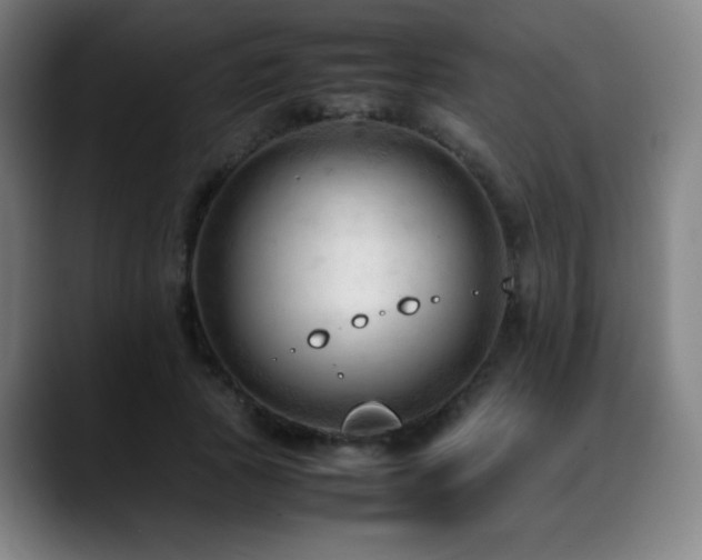 X0000089350737200706151101