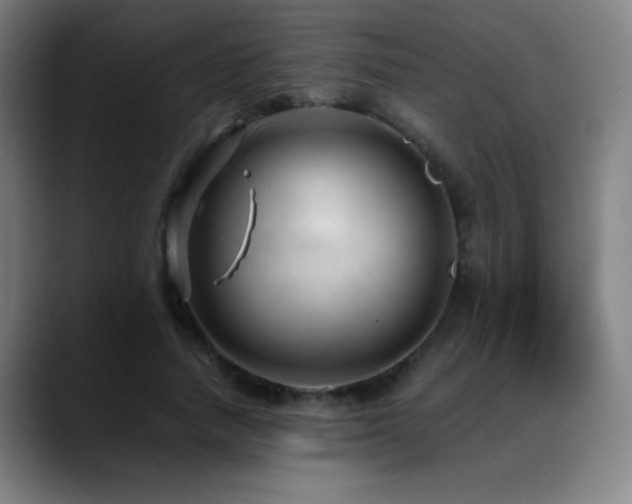 X0000089350738200706151101