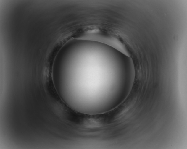 X0000089350739200706151101