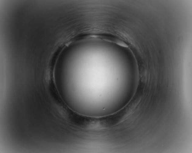 X0000089350740200706151101