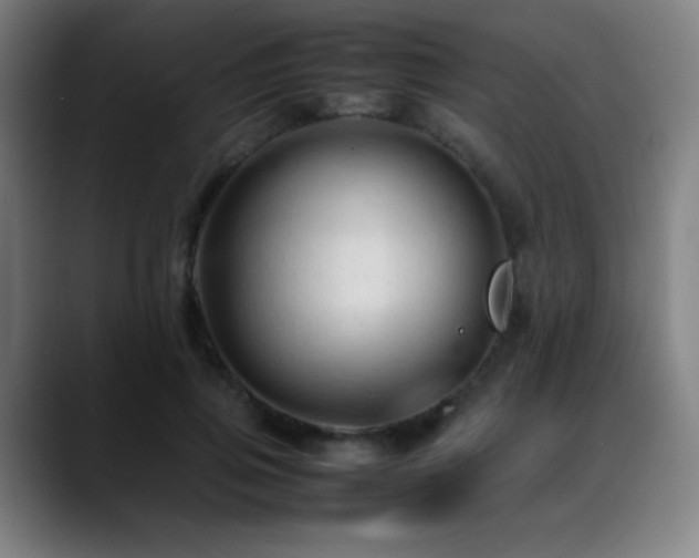 X0000089350741200706151101