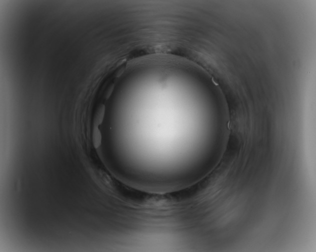 X0000089350742200706151101