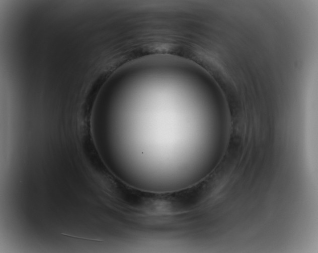 X0000089350743200706151101