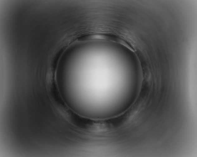 X0000089350744200706151101