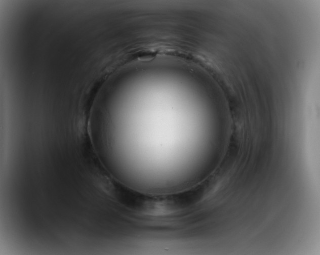 X0000089350745200706151101