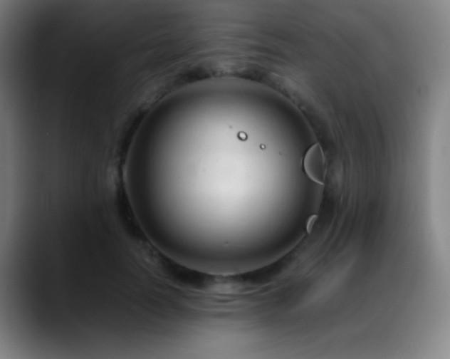 X0000089350746200706151101