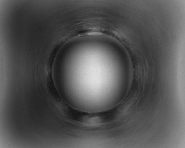 X0000089350747200706151101